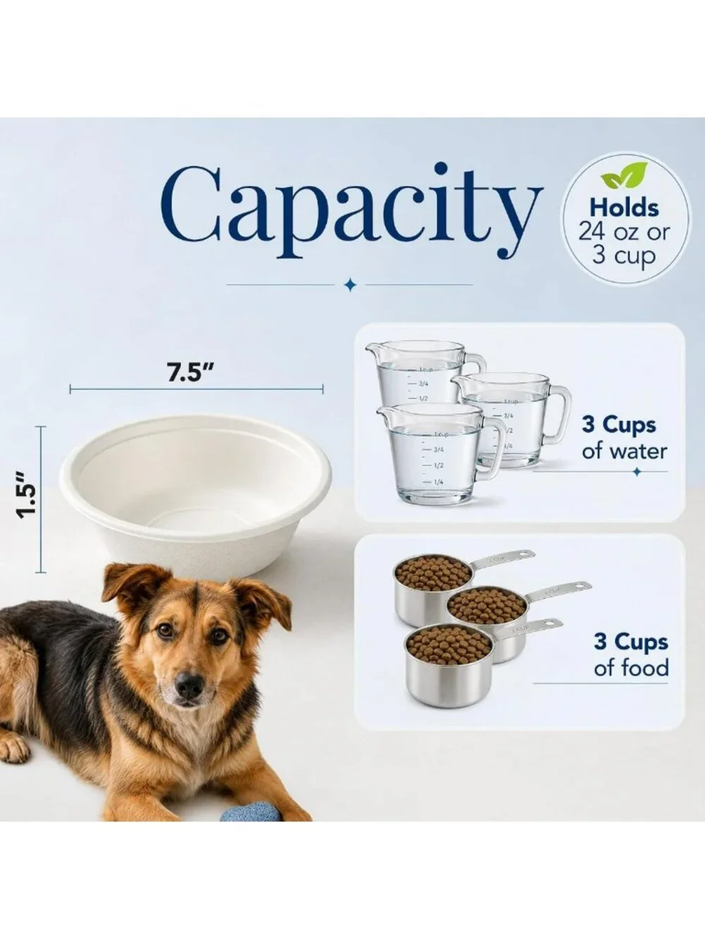 Stainless Steel Pet Bowls Set of 2 - 24 oz, Durable & Easy to Clean Design